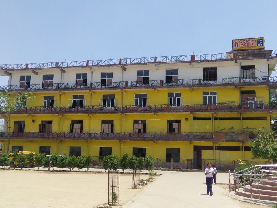 Education Background